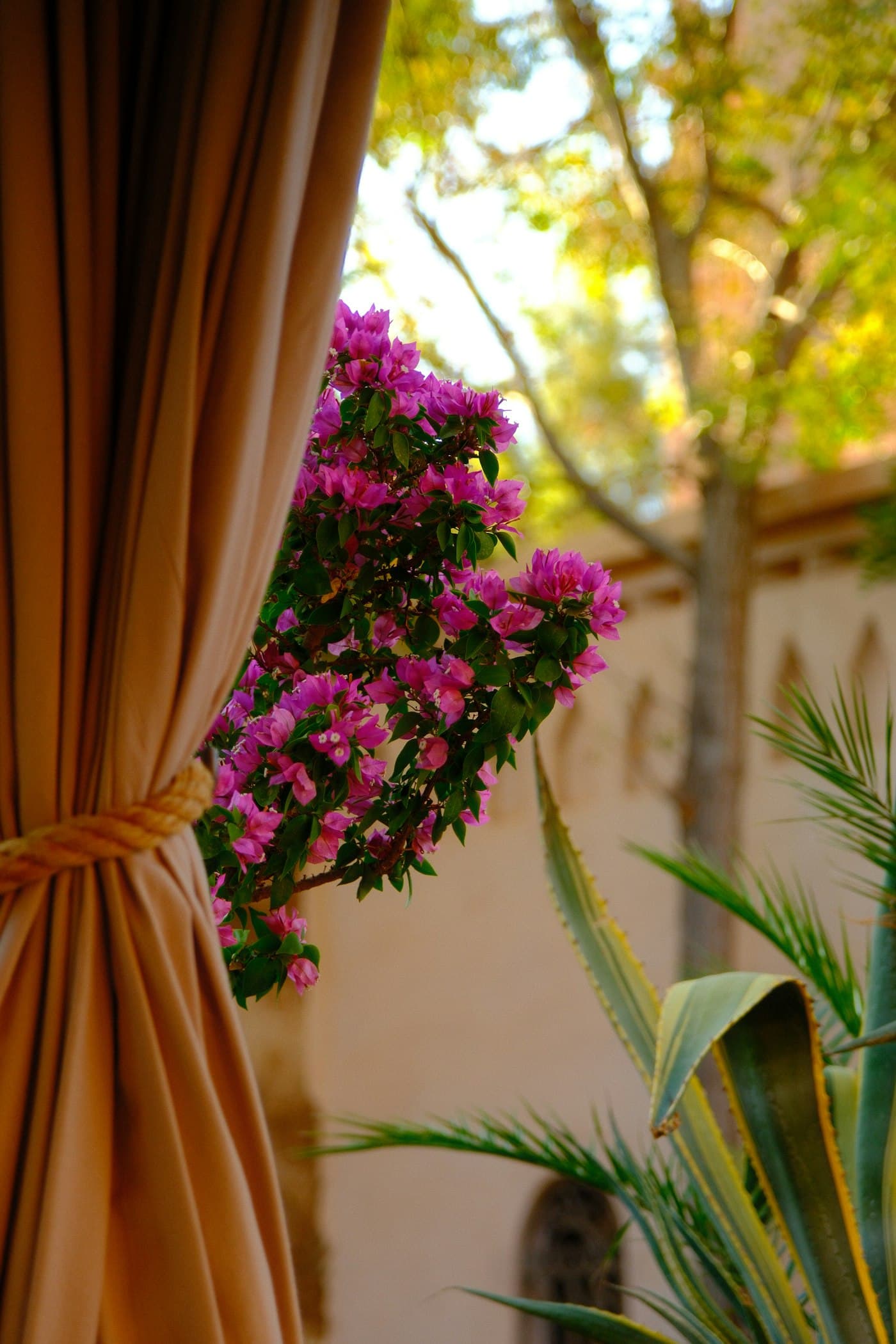 Ambiance d'un riad marocain